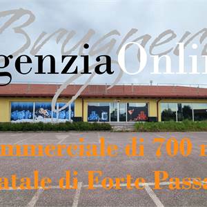 Commercial Premises / Showrooms for Sale in Latisana
